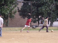STA40042.JPG