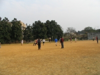 1 061.jpg