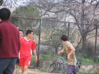 1 100.jpg