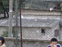 STA40090.JPG