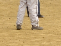 STA40055.JPG