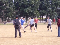 STA40061.JPG