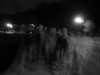 STA40036.JPG